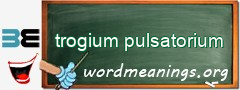 WordMeaning blackboard for trogium pulsatorium